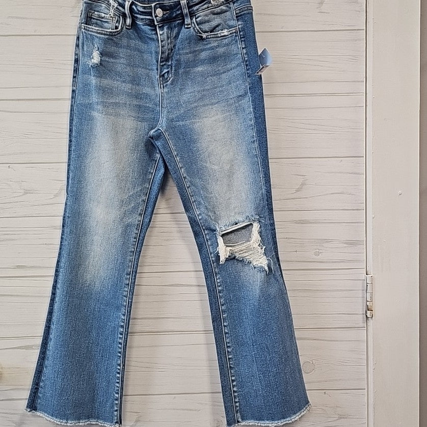Size 27 Vervet Jeans