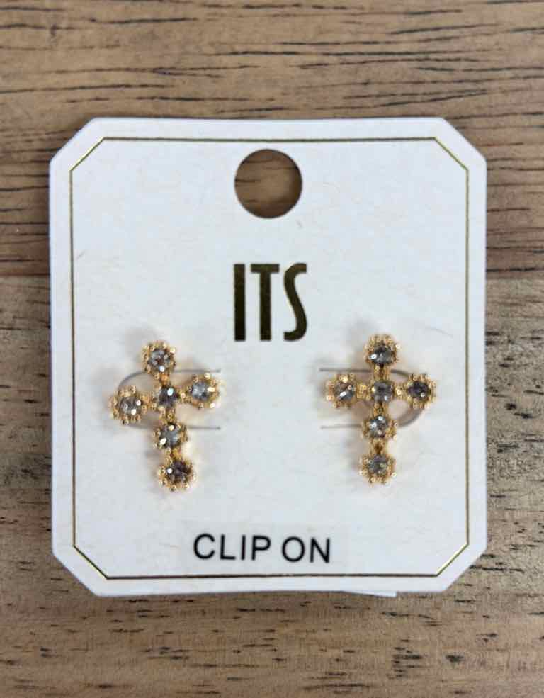 ITS Earrings