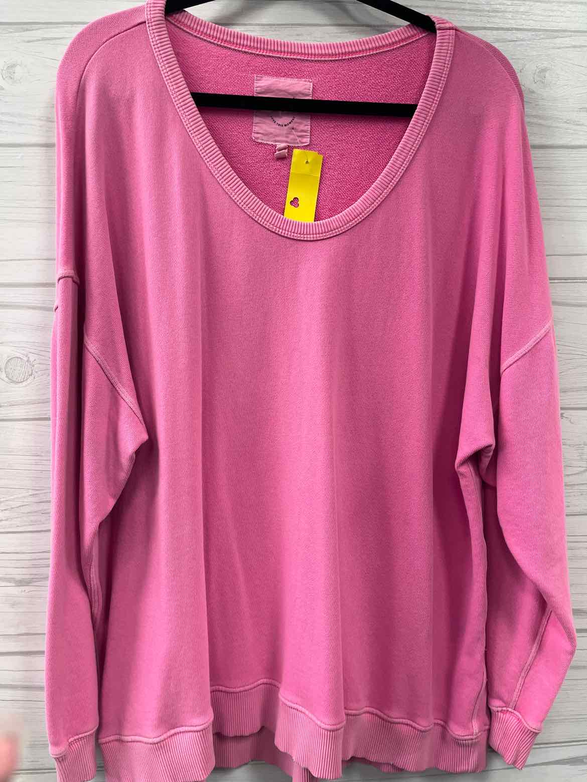 Size L Aerie Sweatshirt