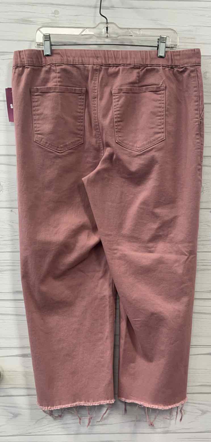 Size L YMI Pants