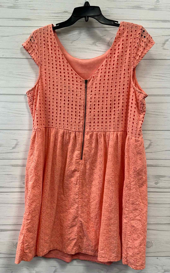 Size XXL Xhilaration Dress