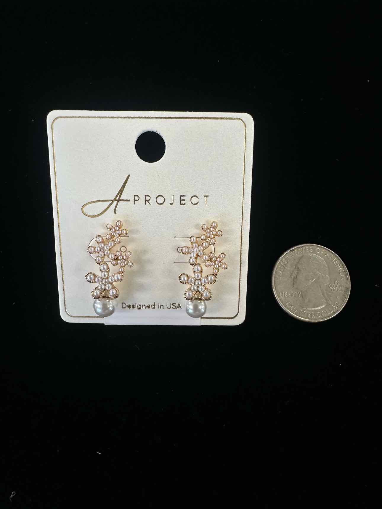 a project Earrings