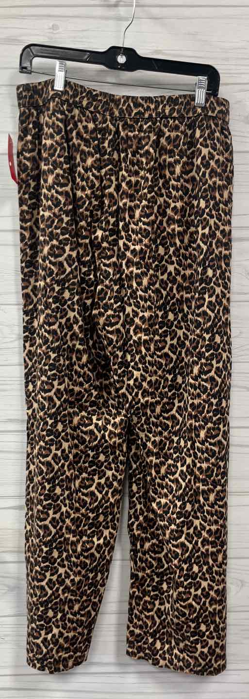 Size L Aerie Pants