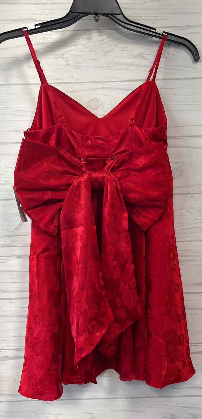 Size M Charmed Hearts Dress