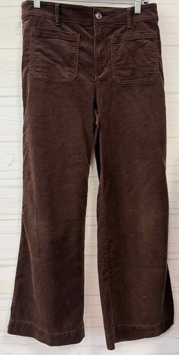 Size 6 Loft Pants
