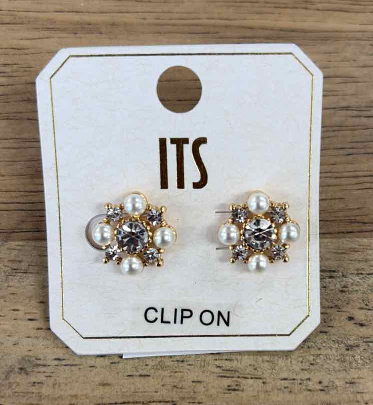 ITS Earrings