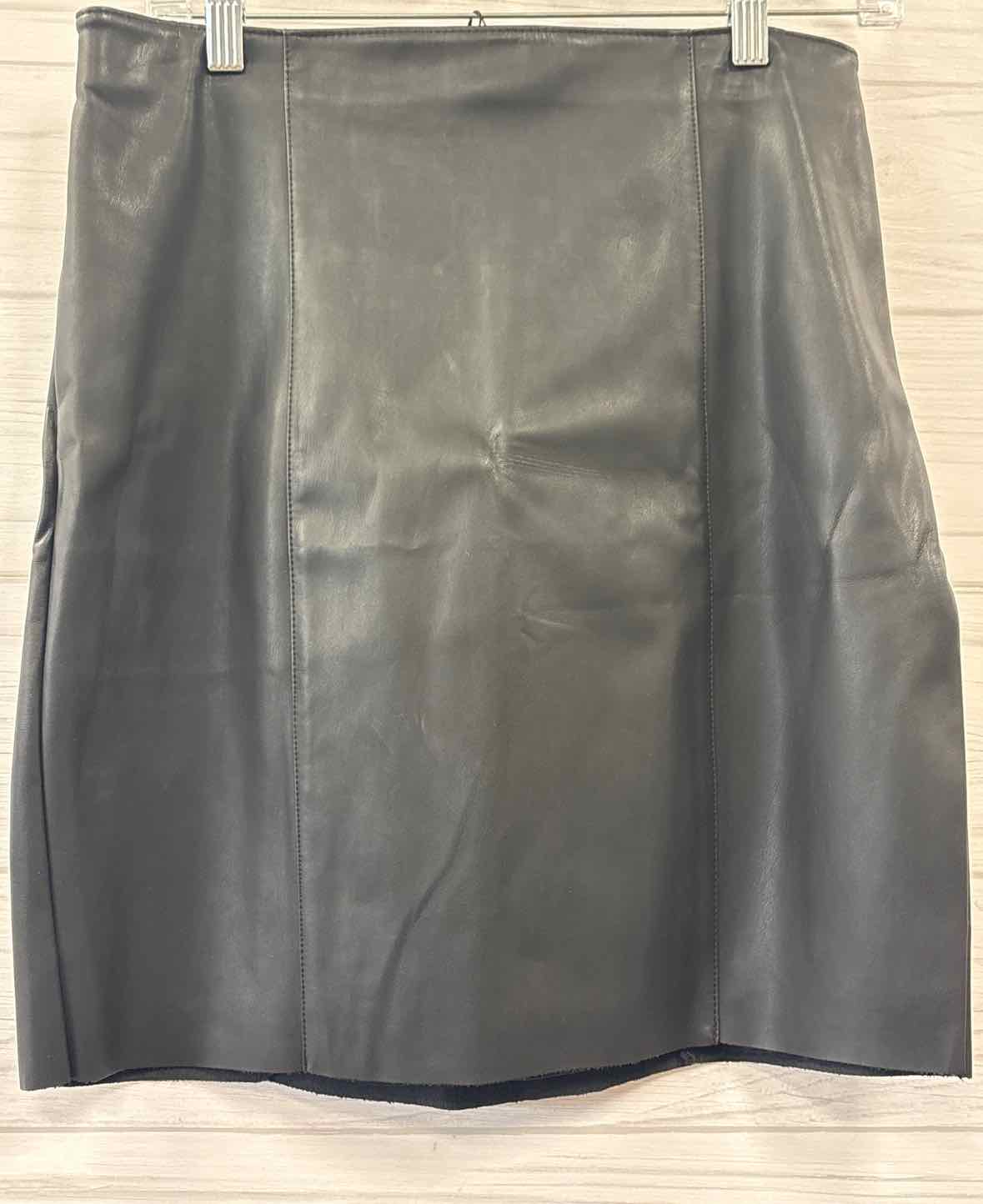 Size 8 Express Skirt