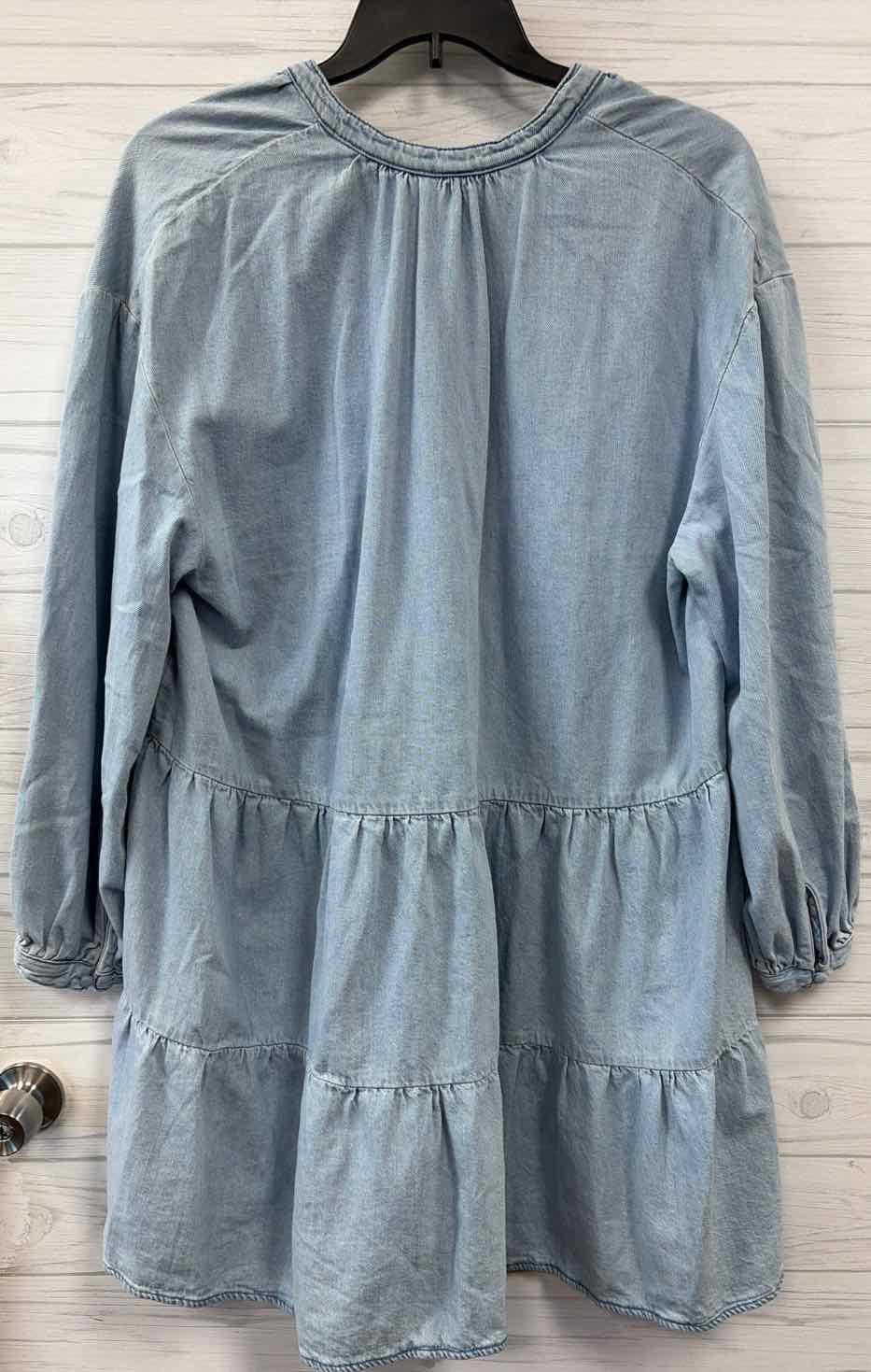 Size L & Denim Dress