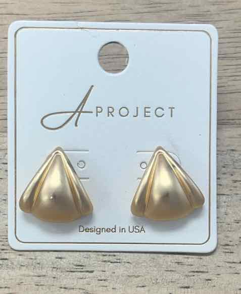 a project Earrings