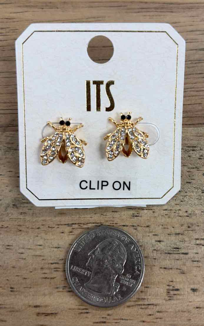 ITS Earrings