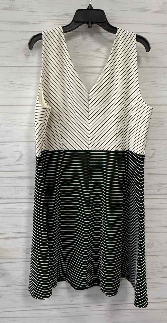 Size 18 Loft Dress