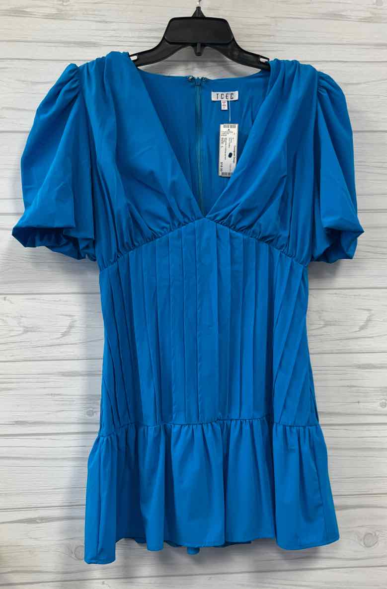 Size L TCEC Dress