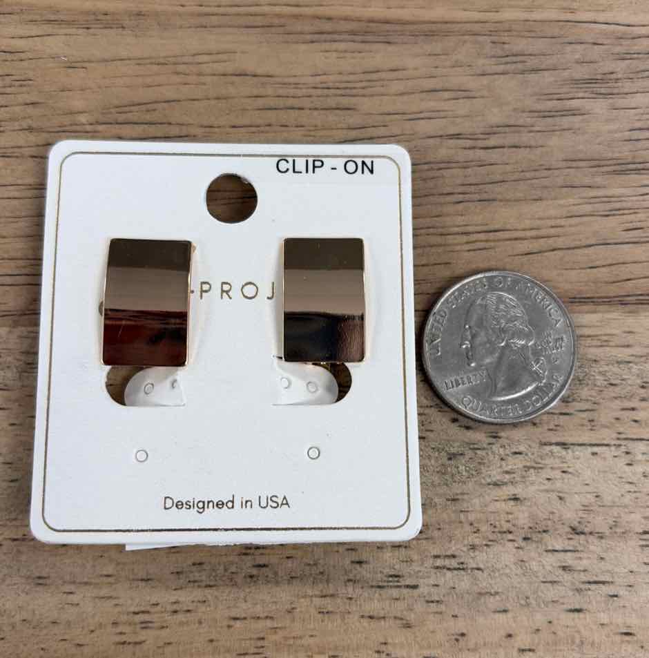a project Earrings