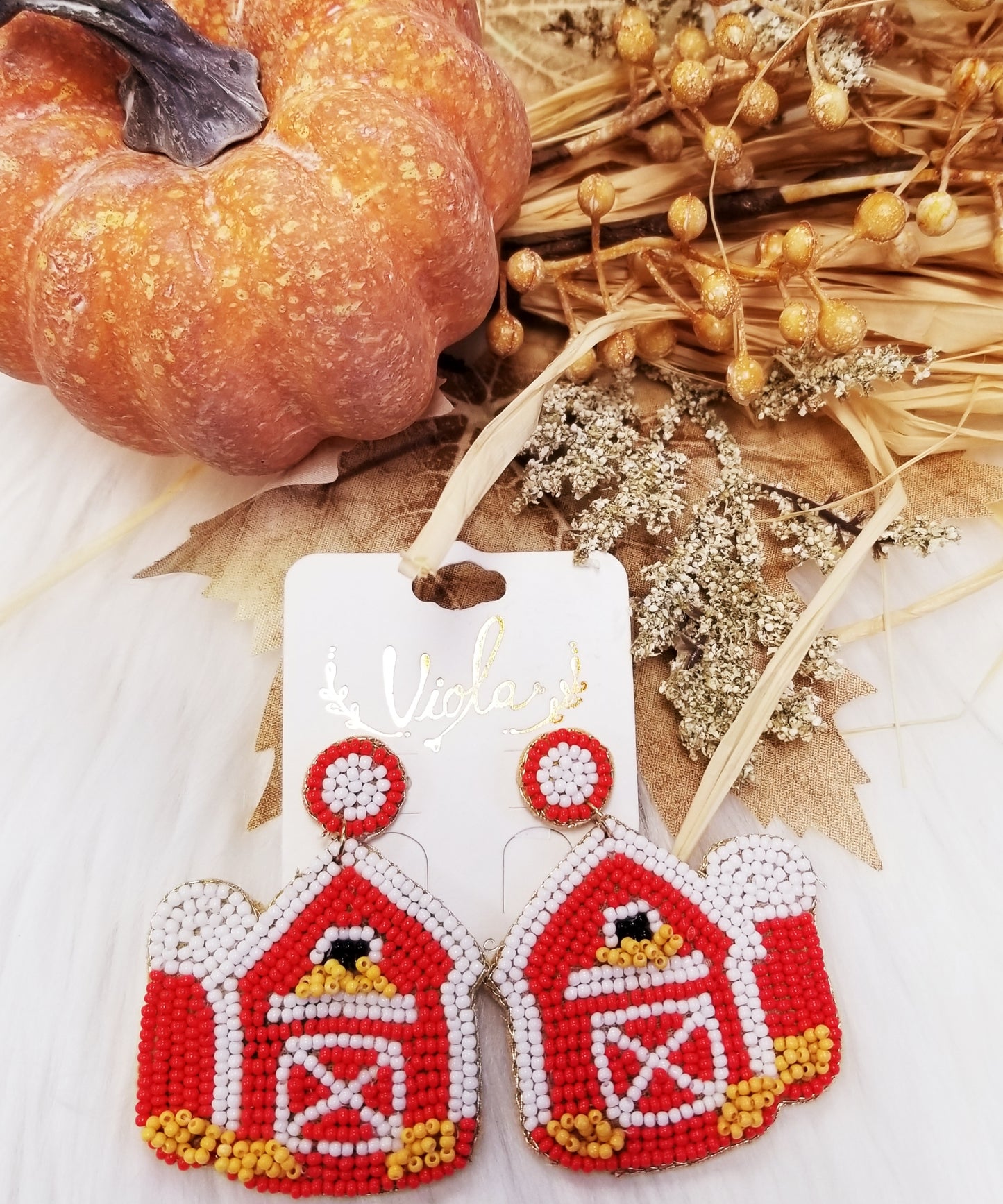 Earrings