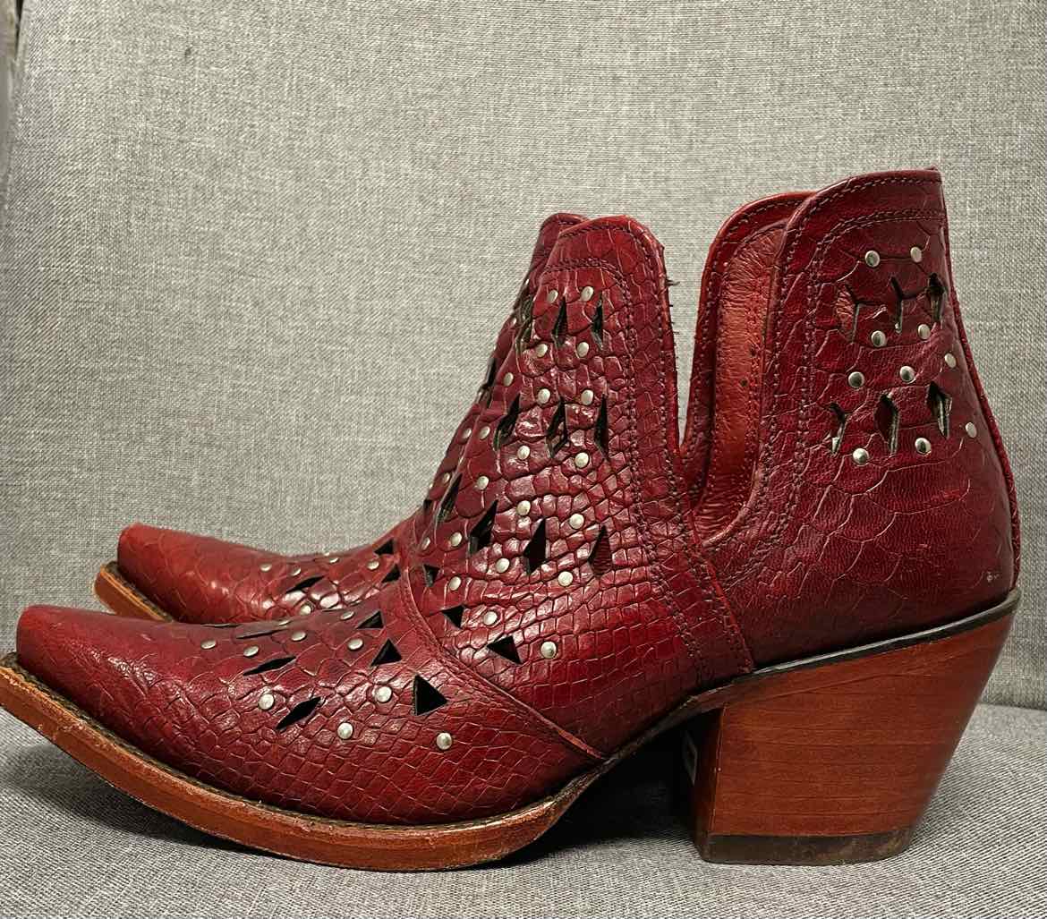 8.5 Ariat Shoes