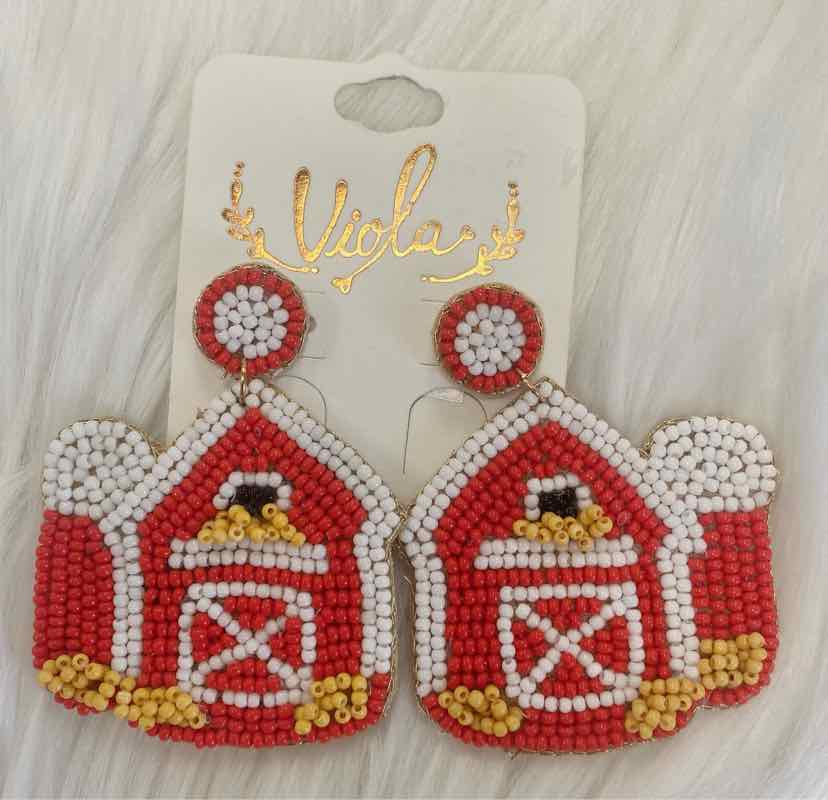 Earrings